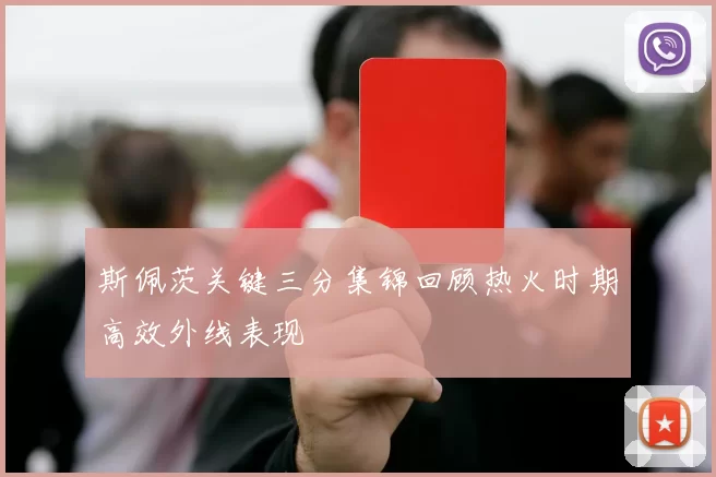 斯佩茨关键三分集锦回顾热火时期高效外线表现